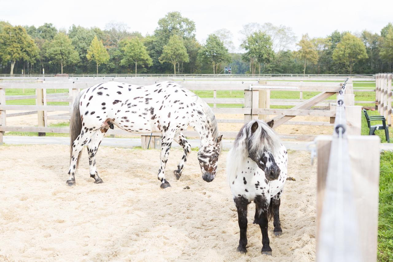 Human & Horse Hotel Kootwijkerbroek Exterior photo